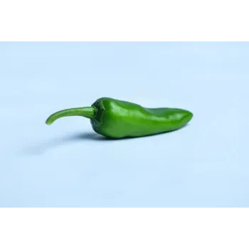 green chilli  (46)-4296768-57992.webp